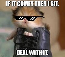 Image result for Deal with It Meme