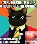 Image result for Business Cat Meme Generator