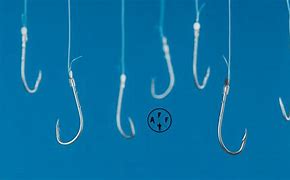 Image result for Fishing Hook in Water