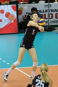 Image result for Volleyball World Cup