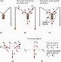 Image result for Scale Diagrams Maths