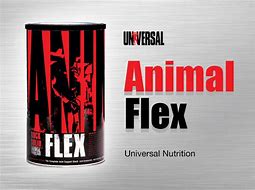 Image result for Animal Flex