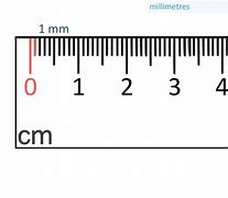 Image result for How Long Is a mm