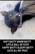 Image result for Bat Crazy Women Memes