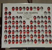 Image result for Folded Card Graduation Cap and Gown