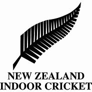 Image result for Indoor Cricket Symbol