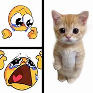 Image result for El Gato Meme Print Out