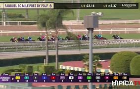 Image result for FanDuel Breeders' Cup
