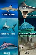 Image result for Fancy Shark Meme