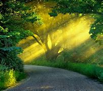 Image result for Naturel BG