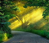 Image result for Nature Bacl