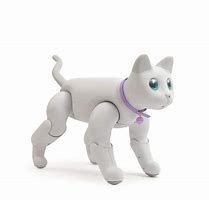 Image result for Mars Cat Robot