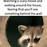 Image result for Raccoon Hat Meme