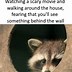 Image result for Crazy Raccoon Meme