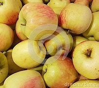 Image result for Two Piles of Apple's Compared