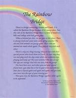 Image result for Dog Rainbow Quotes