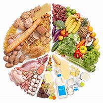 Image result for Food Health Benefits