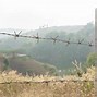 Image result for Barbed Wire Clips for Pipe