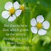 Image result for Christian Romance Quotes