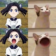 Image result for Cat Expression Memes