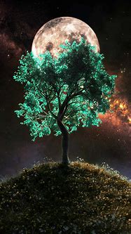 Image result for Tree of Life iPhone Wallpaper