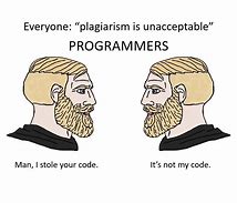 Image result for Meme Stole My Code