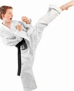 Image result for Martial Arts Statue