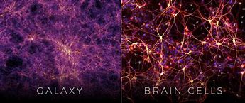 Image result for Universe and Brain Neuron