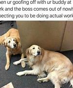 Image result for Me at Work Meme