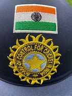 Image result for Indian Cricket Helmet