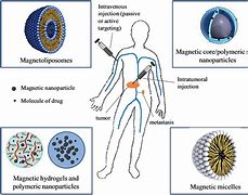 Image result for Magnetic Therapy