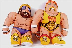 Image result for WWE Wrestling Pillow Buddies