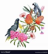 Image result for Australia Nature Strip Flowers