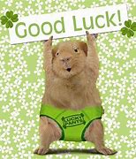 Image result for Funny Good Luck Messages