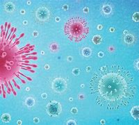 Image result for Tonga Coronavirus