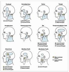 Referred Dental It Hurts But Where And Why There