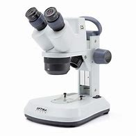 Image result for Microscope Magnifier