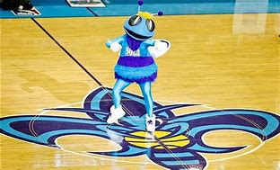 Image result for New Orleans Hornets Mascot