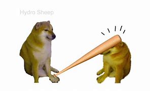 Image result for Dog Dragging Meme