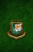 Image result for Bangladesh Cricket Team Logo
