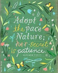 Image result for Katie Daisy Art Quote