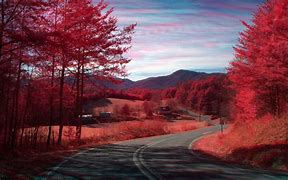 Image result for Red Nature Wallpaper for Phone