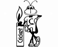 Image result for Cricket Wireless Logo White PNG