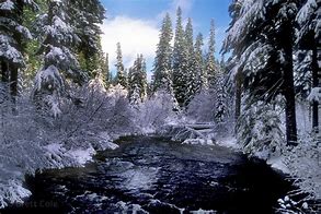Image result for Oregon Winter Scenery
