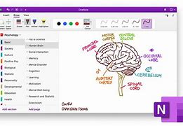 Image result for Contoh OneNote