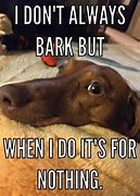 Image result for Funny Dog Bark Memes