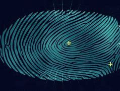 Image result for Digital Fingerprint Scanner