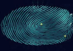 Image result for Fingerprint Scanning GIF