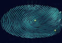Image result for Fingerprint Being Scanned GIF