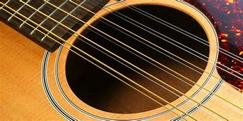 Image result for 12 String Guitar Art Images